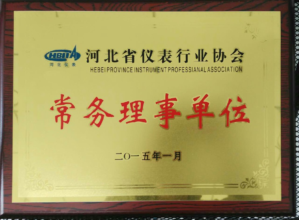 河北省仪表协会常务理事